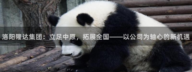 万向娱乐登陆官网入口