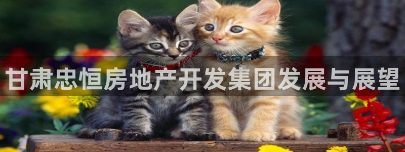 万向娱乐登陆官网