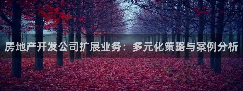 万向娱乐挂机软件