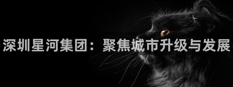 万向娱乐下载安装