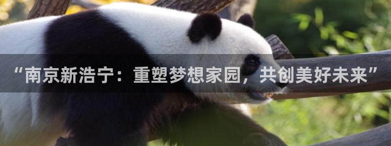 万向娱乐注册开户要多久