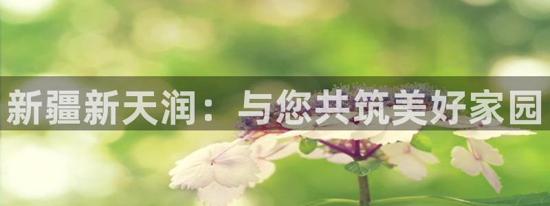 万向娱乐app下载安装