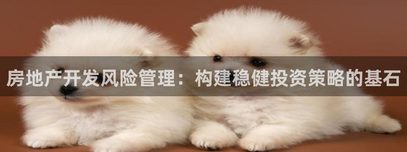 万向娱乐app下载安装