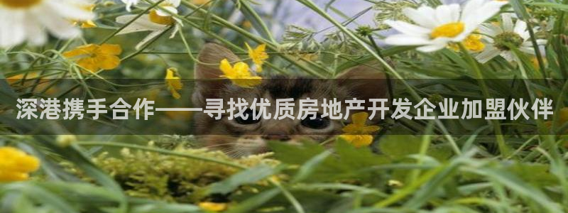 万向娱乐app下载安装